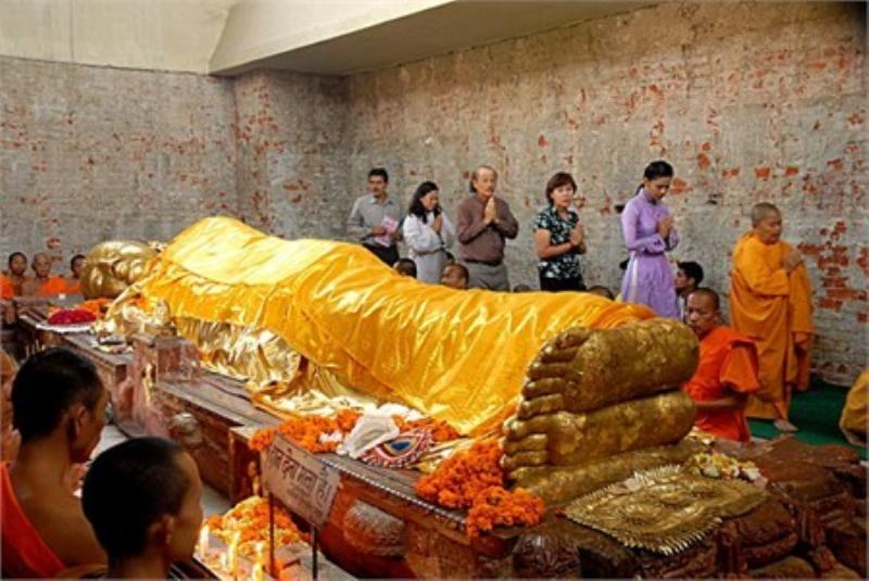Hình ảnh một chú chó ngồi yên lặng cạnh người chủ là người Việt Nam, trong không gian ấm cúng của gia đình
